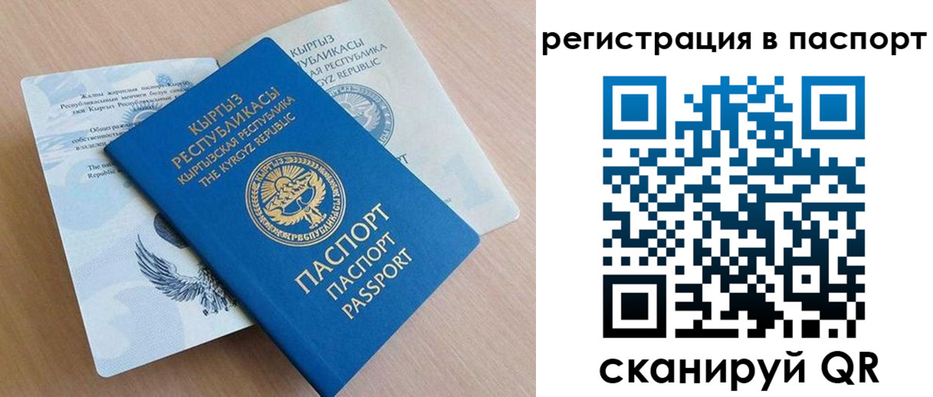 прописка законно в Светогорске